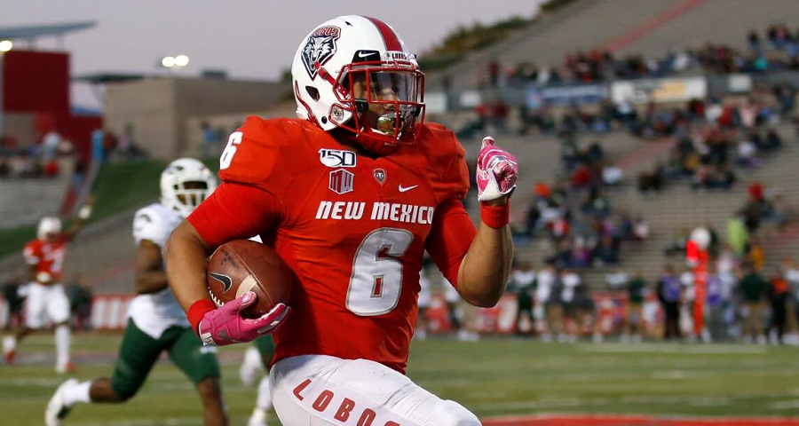 New Mexico Lobos